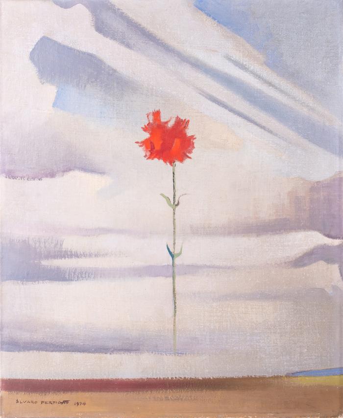 Uma flor na madrugada